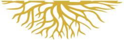 Logo Plano Maior